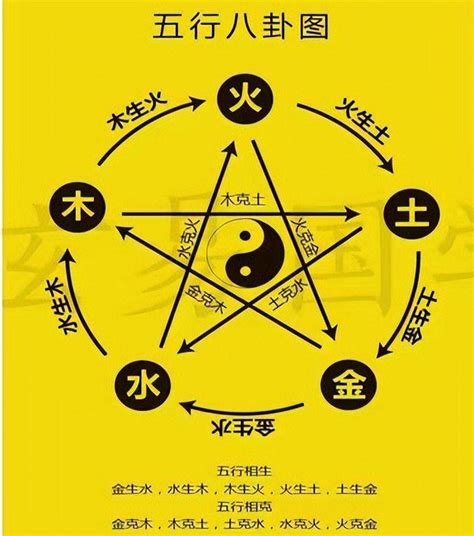 五行多木|八字木多的人命运如何 八字木多的人有什么特点